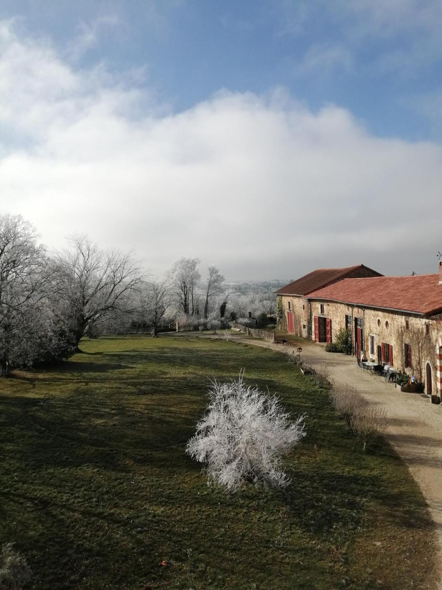 Bed and Breakfast Domaine de Savignac à Chabanais Extérieur photo